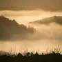 kabut_barometric-fog.jpg.webp
