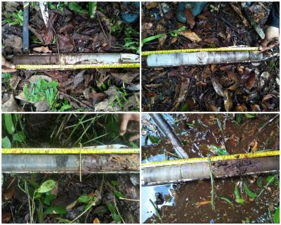 Lapisan Mineral pada Substratum Gambut