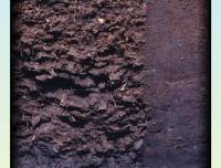 histosols_page-0001.jpg