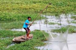 ikan.jpg
