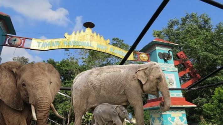 taman_nasional_way_kambas.jpg taman_nasional_way_kambas.jpg