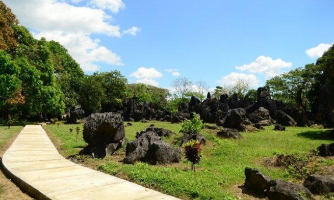 suaka_margasatwa_lore_lindu.jpg suaka_margasatwa_lore_lindu.jpg