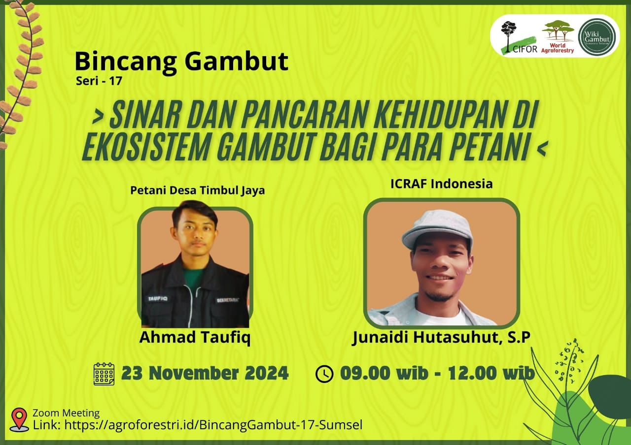 bincanggambut17sumsel.jpg bincanggambut17sumsel.jpg